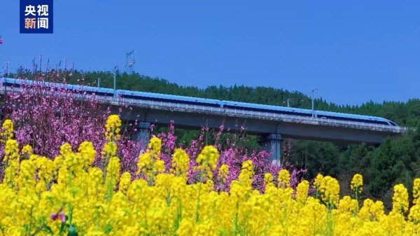 配资平台预警网 1.26亿人次去哪儿了？清明小长假消费“三件套”→